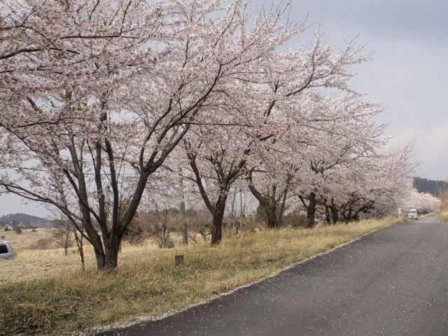 Itsubinosato Guest House ยูฟุอิน ภายนอก รูปภาพ