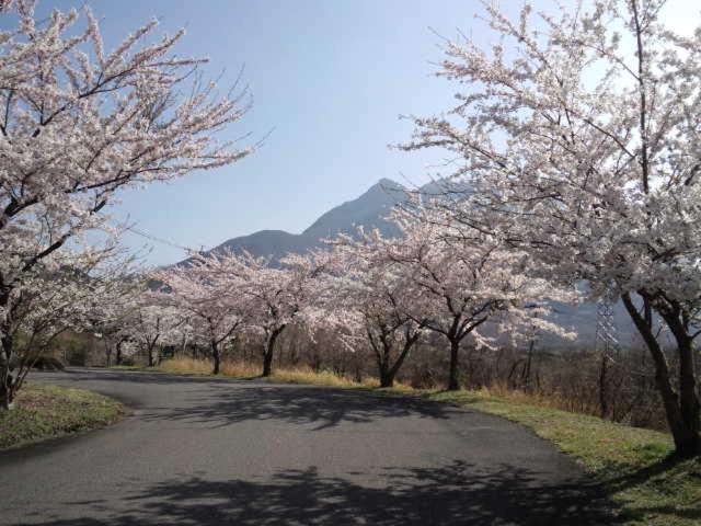 Itsubinosato Guest House ยูฟุอิน ภายนอก รูปภาพ