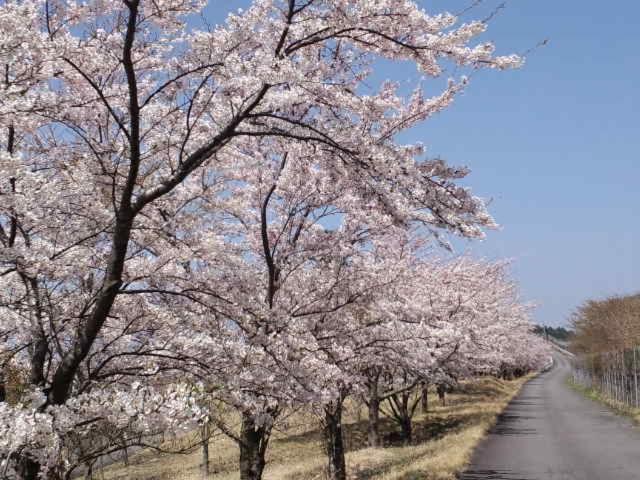 Itsubinosato Guest House ยูฟุอิน ภายนอก รูปภาพ