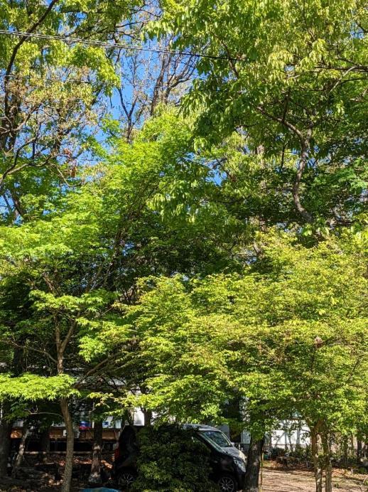 Itsubinosato Guest House ยูฟุอิน ภายนอก รูปภาพ